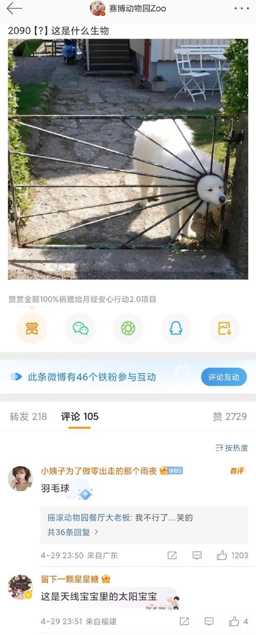 鉴定一下网络热门生物,鉴定一下网络热门生物视频