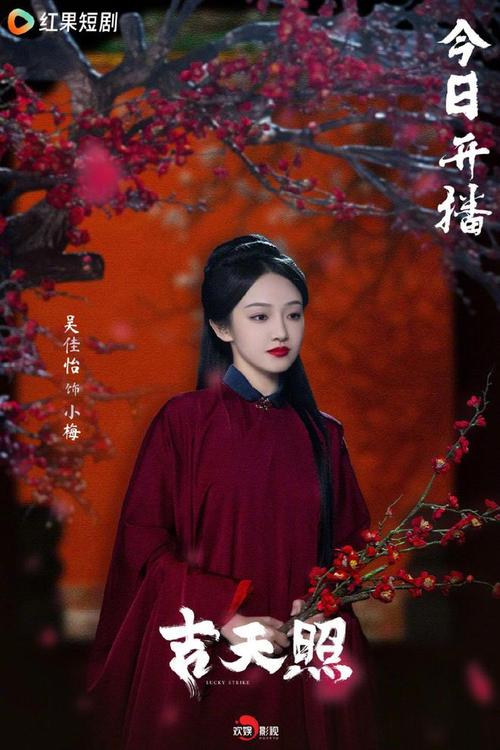于正剧女主小时候的演员是谁演的,于正剧女主小时候的演员是谁演的啊