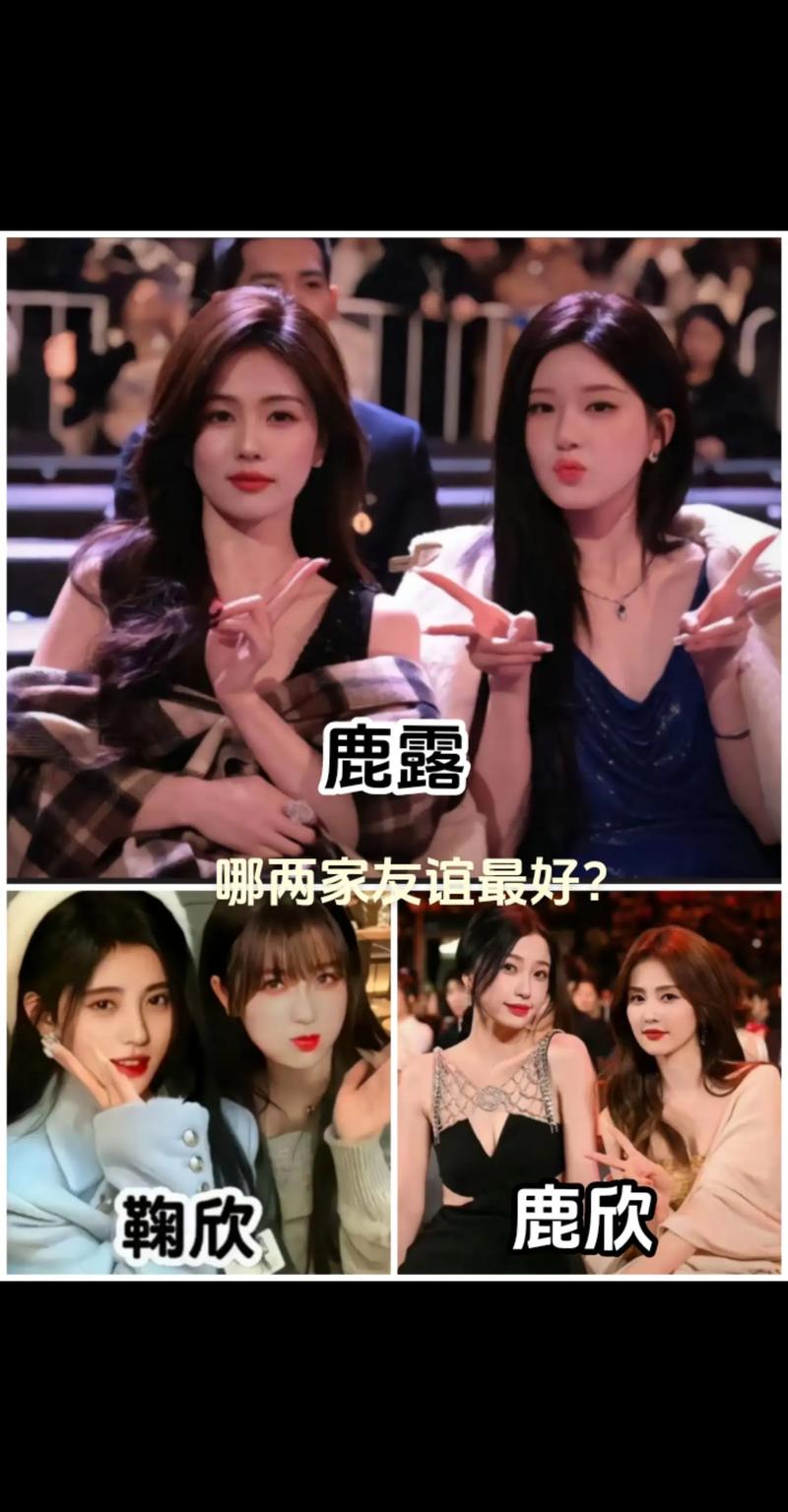 白鹿和陈都灵虞书欣,白鹿和虞书欣怎么认识的