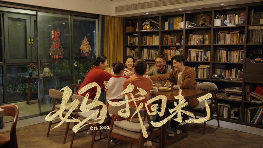 《妈我回来了》,妈我回来了剧情介绍