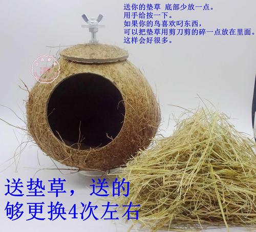 养黄雀用窝吗,养黄雀用什么样的笼子