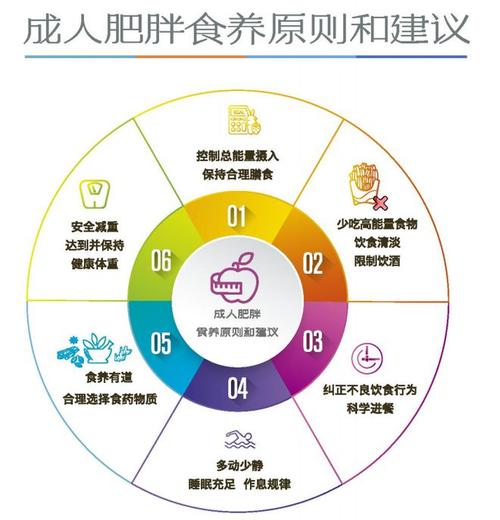 超重与肥胖的干预原则,超重与肥胖的评估与分度