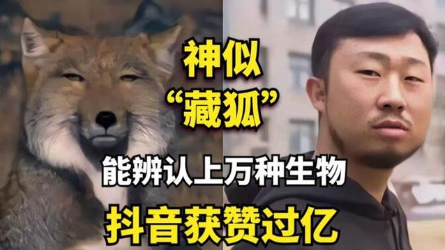无穷小亮是什么梗,无穷小亮是什么意思