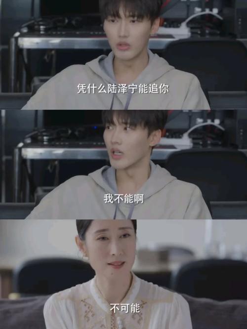 师铭泽电视剧一吻不定情的简单介绍