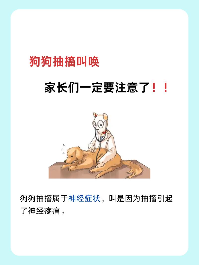 狗狗生病了晚上突然叫,狗狗生病了晚上突然叫怎么回事