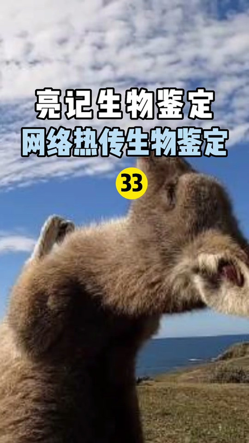 无穷小亮藏狐对比图,无穷小亮的科普日常藏狐