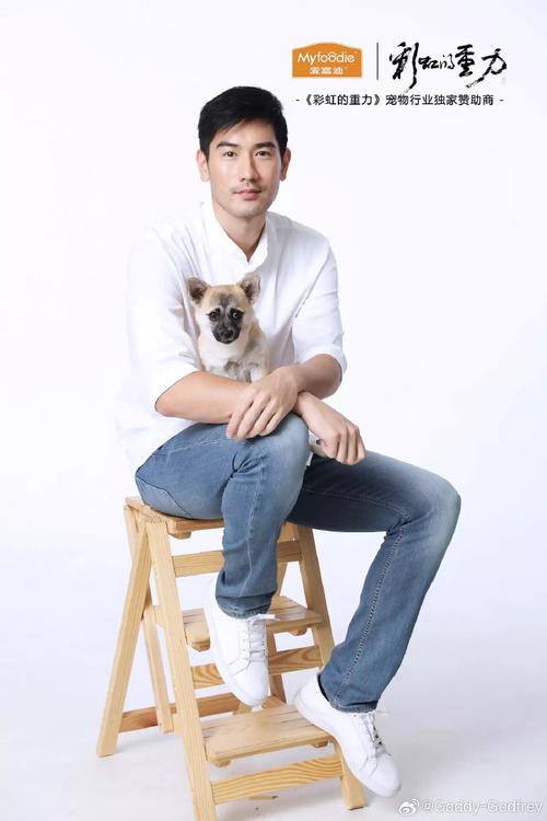 毛加恩为什么介绍苏给高以翔的简单介绍