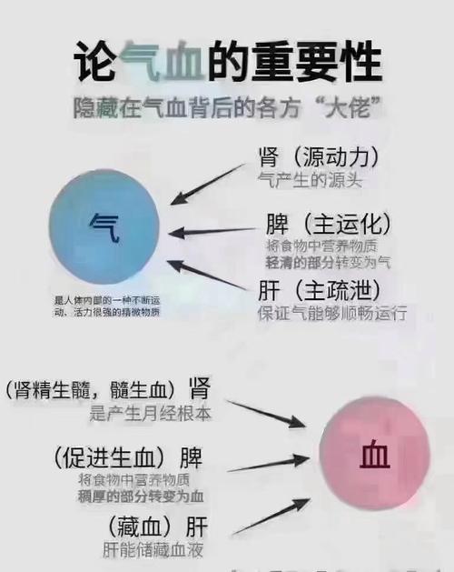 气血好的人有5个特征,气血好的人有5个特征吗