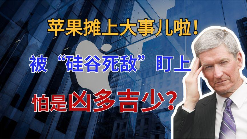 苹果或面临1777亿罚单的简单介绍
