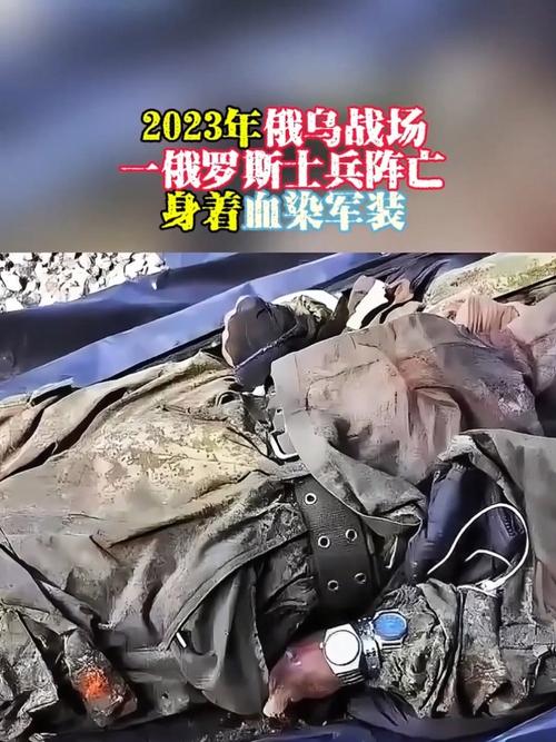 俄乌战争乌克兰死亡人数,2024俄乌双方真实伤亡人数