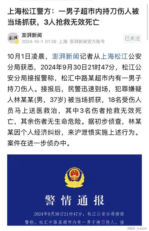 上海杀人案最终处理,上海2020被杀案件