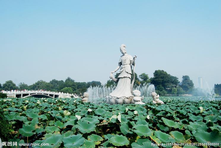 玄武湖荷花池雕塑,玄武湖里荷花深处去