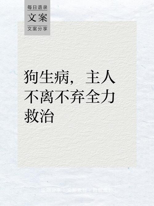 狗狗生病等死主人强行救回来,狗狗生病等死主人强行救回来可以吗
