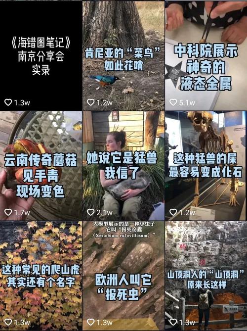 无穷小亮的科普视频全套,无穷小亮的科普日常表情包出处