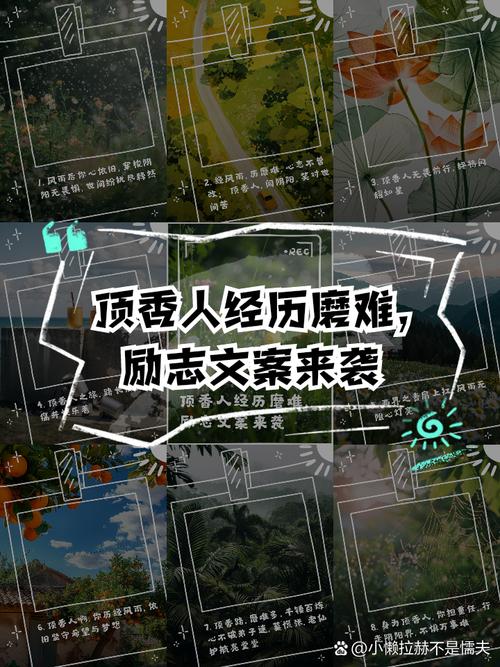 人一生要经历多少磨难,人一生要经历多少磨难是注定的吗