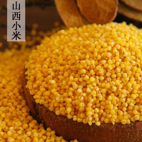 黄小米糯小米,黄小米和糯小米怎么区分