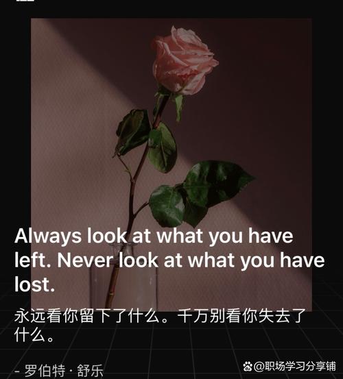 你什么时候见过所谓的世面,你什么时候见过所谓的世面英语