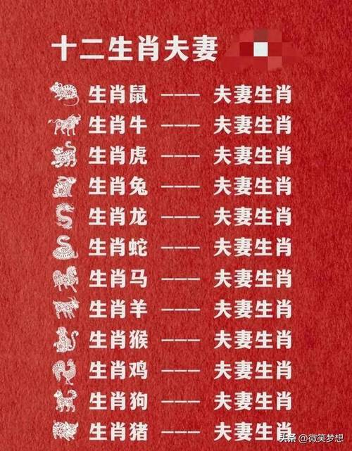 00年属什么生肖配对最好婚姻,2000年属什么生肖配对最好婚姻