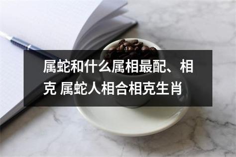 生肖蛇和什么生肖相冲,生肖蛇和什么生肖相冲相克呢