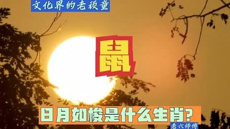 “三三幸有好日月，一心想赢二连马”是代表哪个生肖