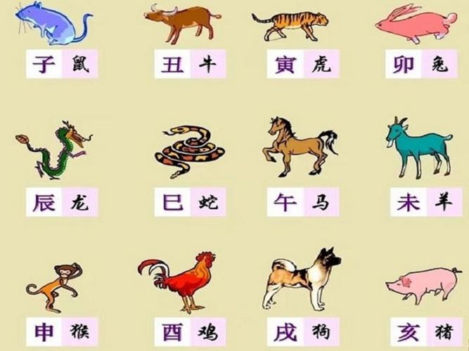 “今期生肖路路通”指什么生肖