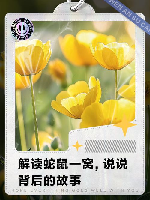 蛇鼠一窝伴打一生肖,蛇鼠一窝猜生肖求解360问答