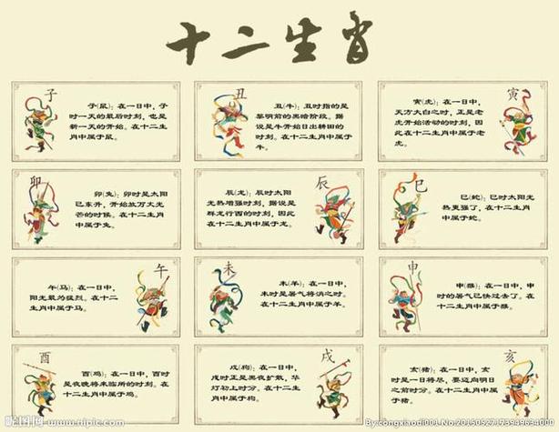 等字打一生肖是什么,等字指十二生肖什么动物