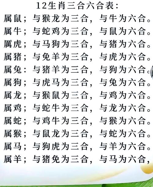 “看好合数一三五”是什么生肖动物
