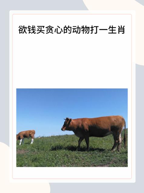 “恶性难改似怒海，胆小贪心今复来”打一生肖是什么