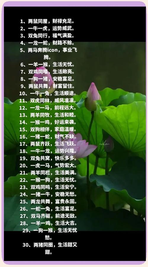 “绿水青山美如画”是代表哪个生肖