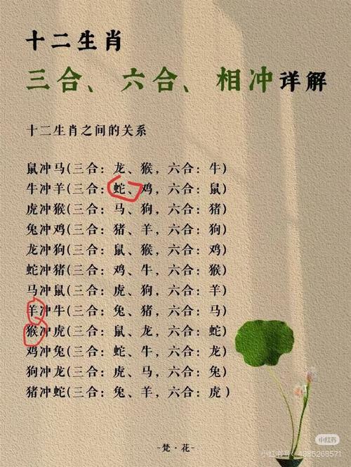 “今期生肖皆利字”打一正确的生肖
