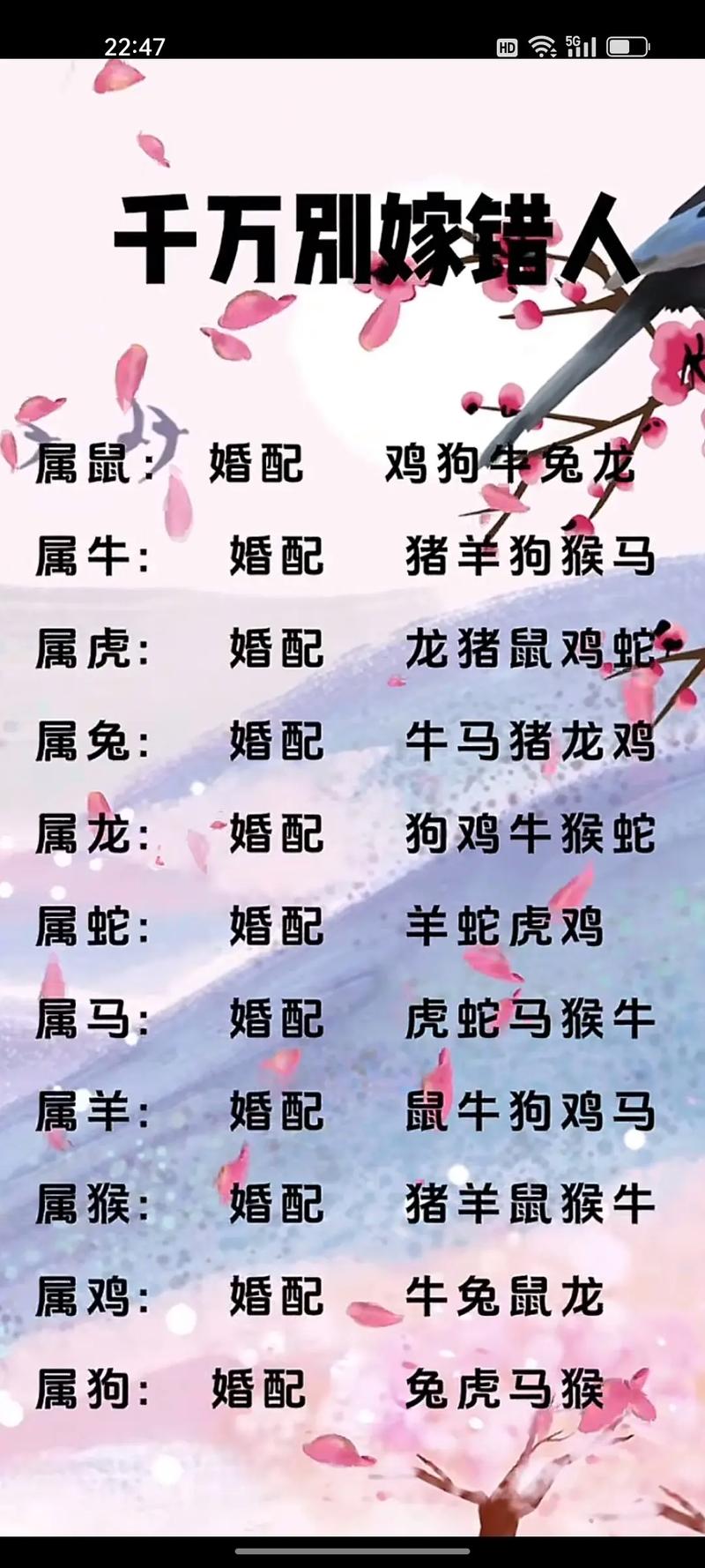 关于今期生肖共团圆生肖的信息