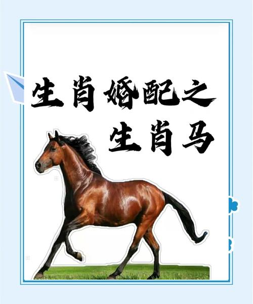 “马放南山”打一生肖是什么