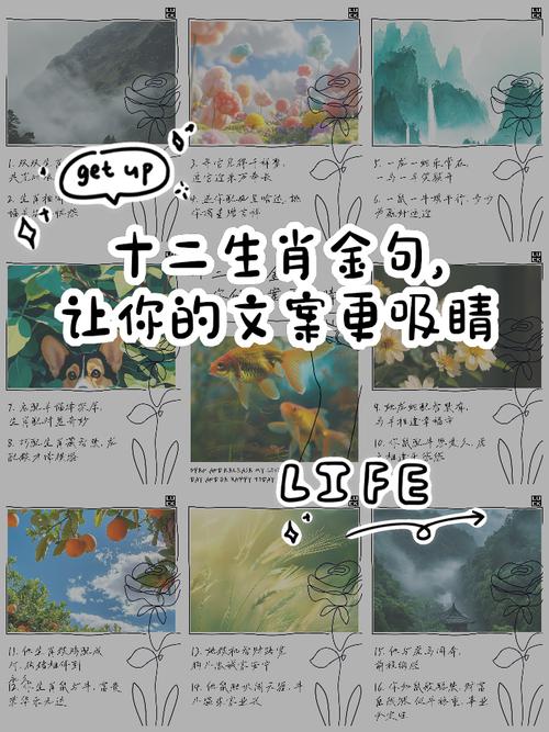 今期守门庭是什么生肖,今期生肖守门庭太平盛世呈吉祥