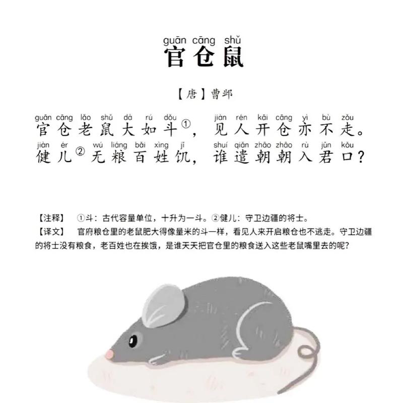 “挑肥拣瘦”打一生肖是什么