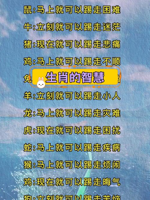今期道人出难题什么生肖?的简单介绍