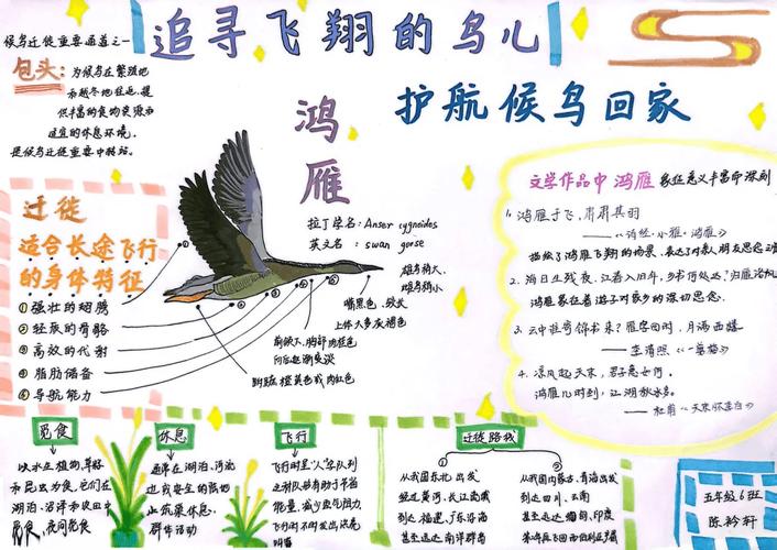 “大雁南飞择木栖”是什么生肖动物的简单介绍