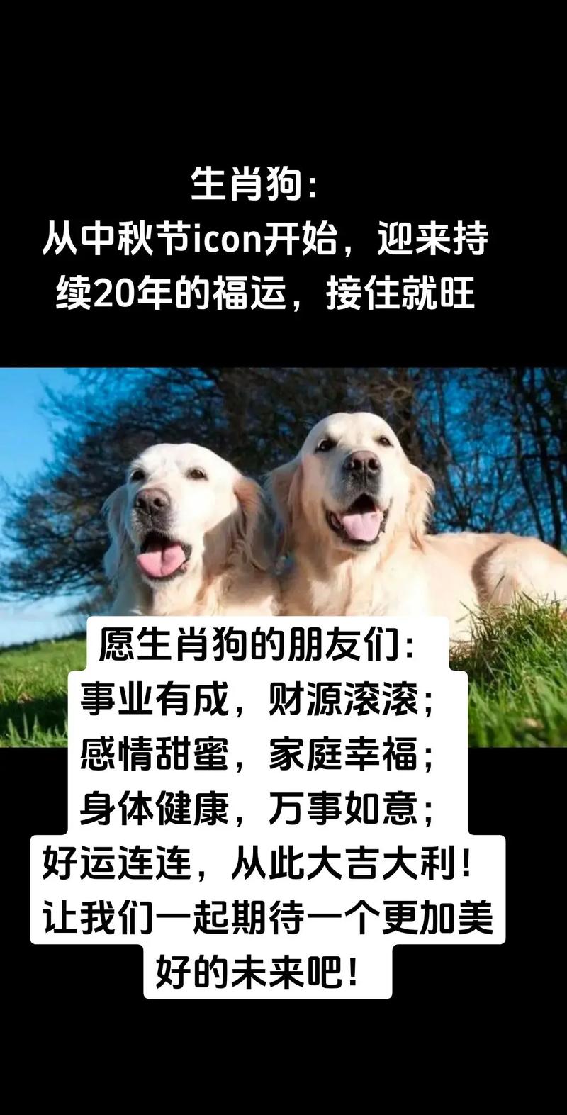 “取之有道延命运天天向上”打一个生肖动物