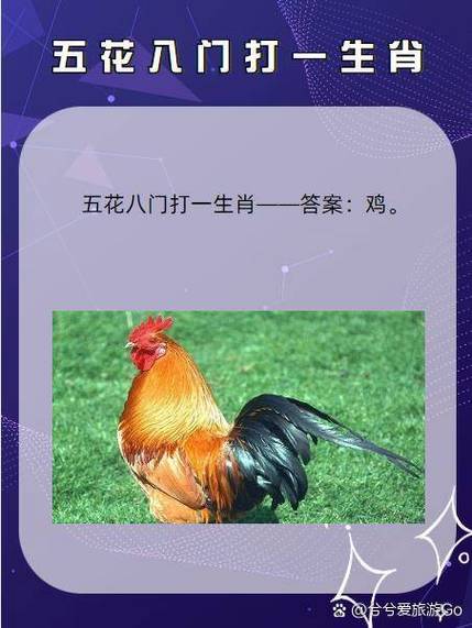 “虚度一一令何得，力敌群雄奋拼博”打一正确的生肖
