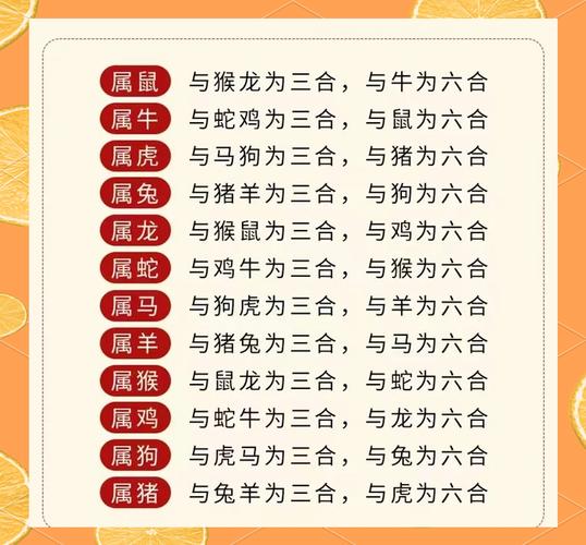 “一六配七合本期”打一准确动物生肖