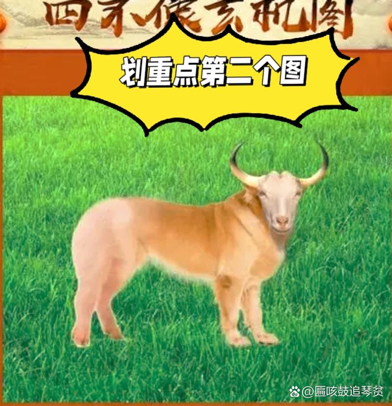 看图找生肖玄机今期,2025四不像生肖图