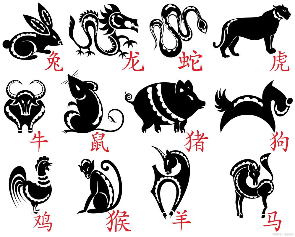 脏打一生肖,十二生肖脏兮兮的动物