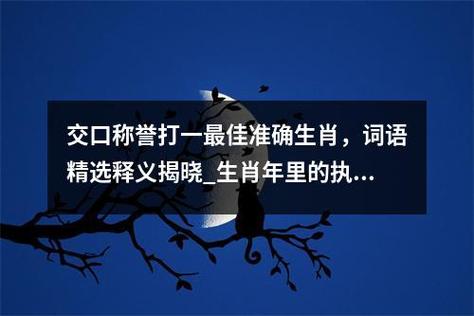 “枉有令旗，不知所用，争名夺利一场梦”打一最佳准确生肖