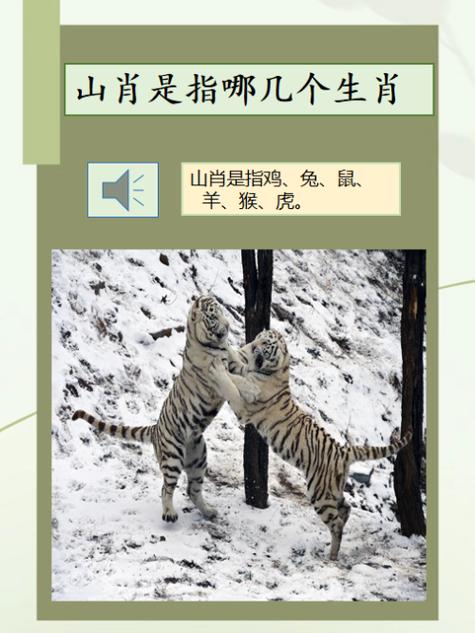 “好学深思”打一个生肖动物
