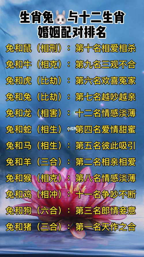 “鼠狗原是同一家”打一生肖是什么