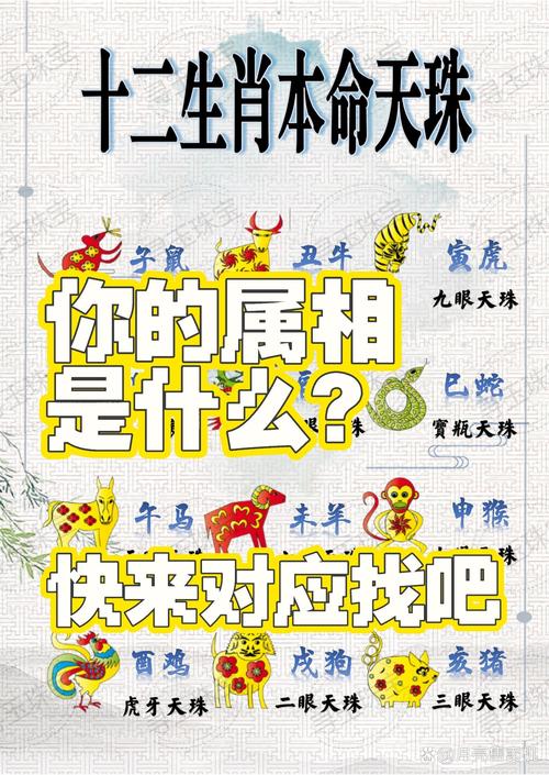 “应天顺时”是代表哪个生肖