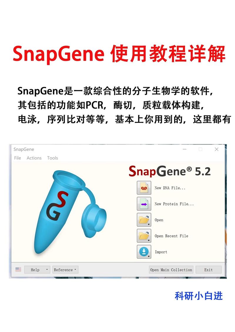 包含snapchat是什么东西的词条