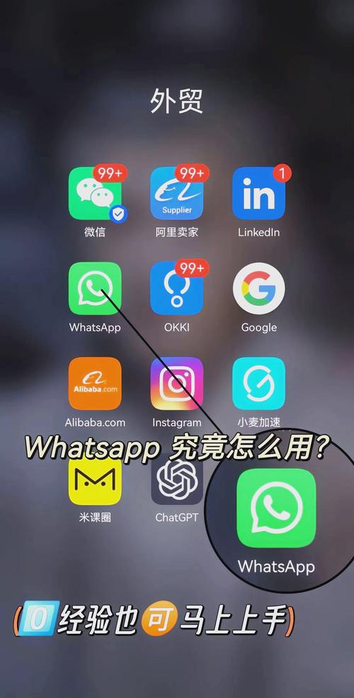 whatsapp如何使用:whatsapp在手机上怎么用