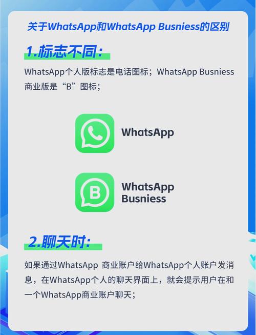 WhatsApp是什么手机号？注册步骤详解、功能介绍及常用技巧