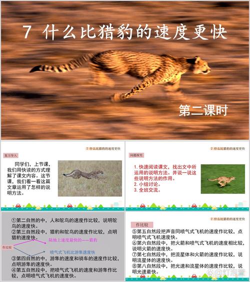 包含每天试用一小时加速器猎豹的词条